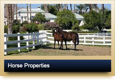 Luxury Horse Properties