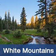 Luxury homes and cabins in the White Mountains of Arizona includes Show Low, Pine, Pinetop, Heber, Forest Lakes